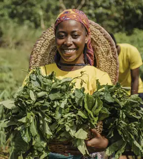 Green Align Herbal Extract