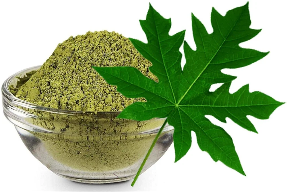 Green Align Herbal Extract